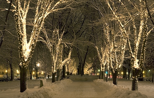 1000 Images About Snow Lights On Pinterest Snow Christmas